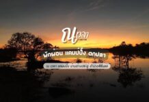 ณ เวลาแคมป์ปิ้ง