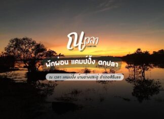 ณ เวลาแคมป์ปิ้ง